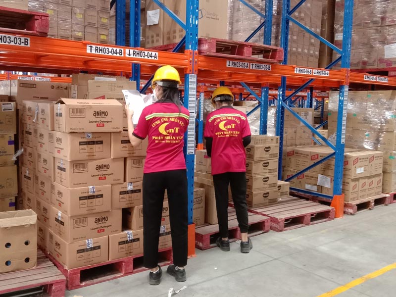 Hình thức cung cứng lao động
