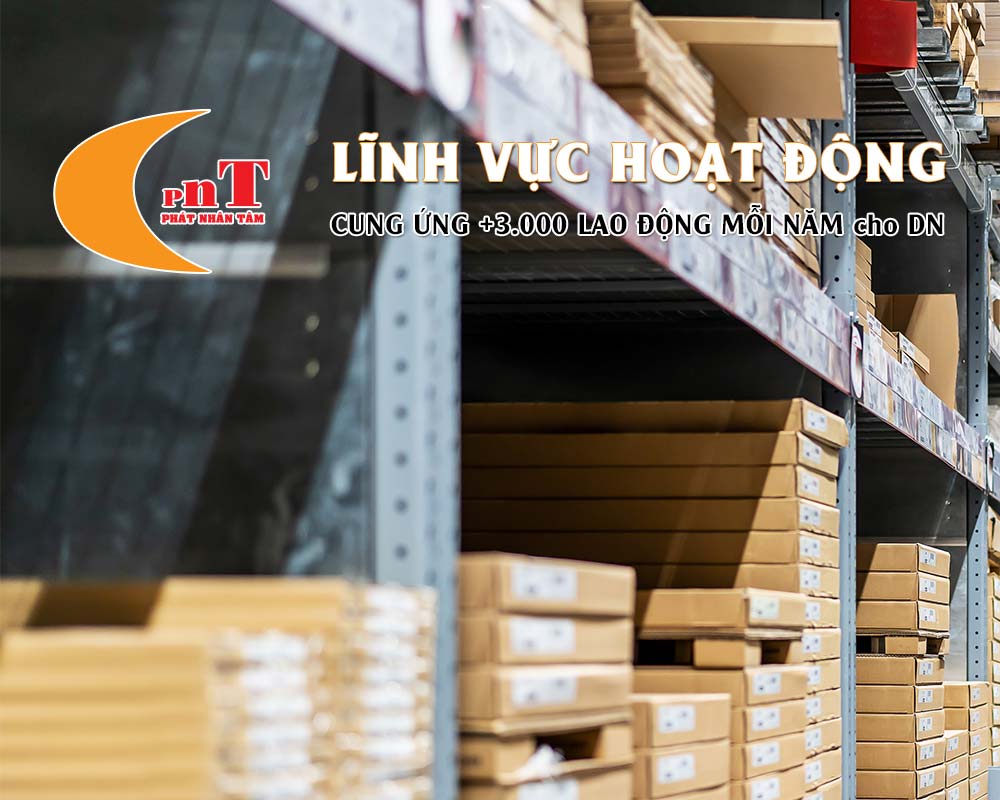 LĨNH VỰC HOẠT ĐỘNG